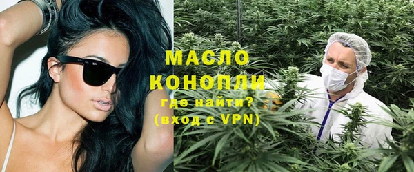 тгк Бородино
