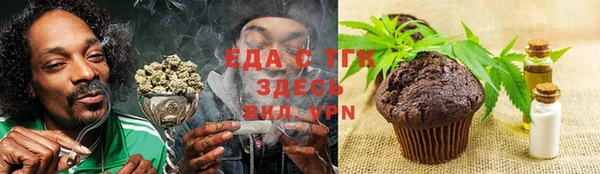 тгк Бородино