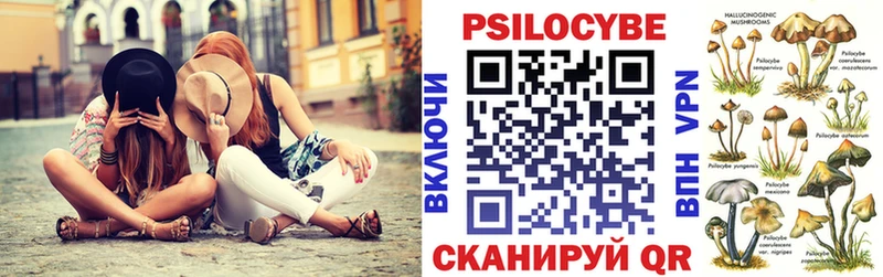 купить  сайты  Медногорск  Галлюциногенные грибы Magic Shrooms 